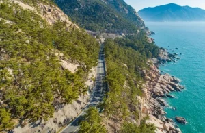 Qingdao Coastal Highway